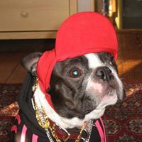 Wanda Fuller Photo 17