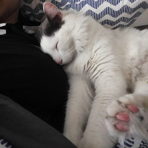 Sarah Blake Photo 30