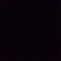 Thomas Judd Photo 12