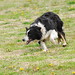 Donald Thomas Photo 24