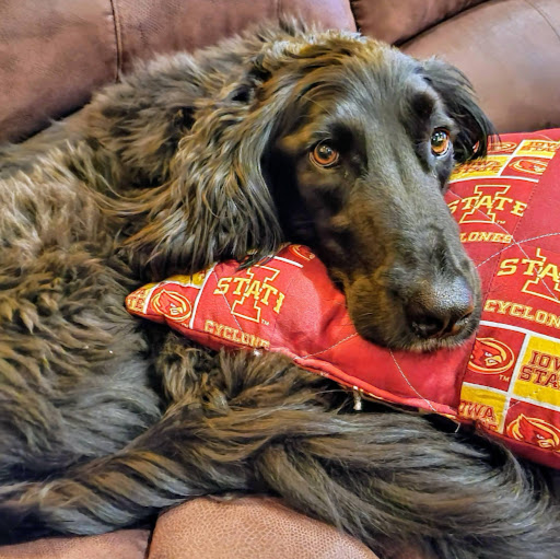 David Couch Photo 49