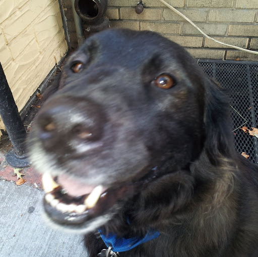 Mark Pickett Photo 23