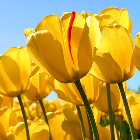 Patricia Branch Photo 28