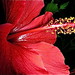 Suzanne Walther Photo 18