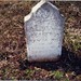 Raymond Sanders Photo 49