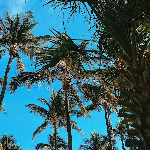 Julia Mackey Photo 4