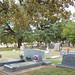 Paul Dewitt Photo 10