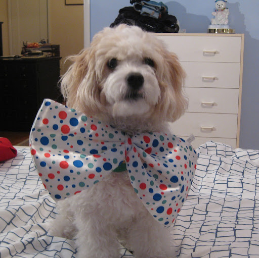 Jennifer Mock Photo 18