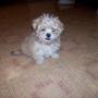 Carolyn Grove Photo 18