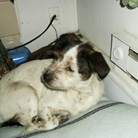 Robert Blagg Photo 10