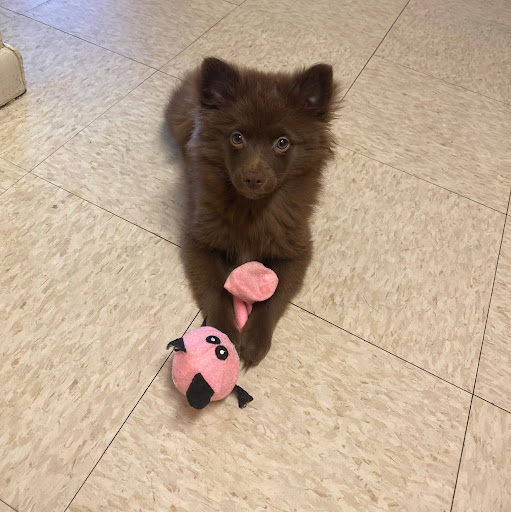 Christina Evans Photo 11