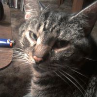 Robert Parish Photo 30