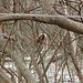 David Kisner Photo 25