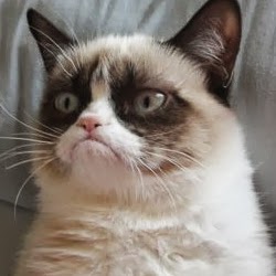 Joyce Schultz Photo 28