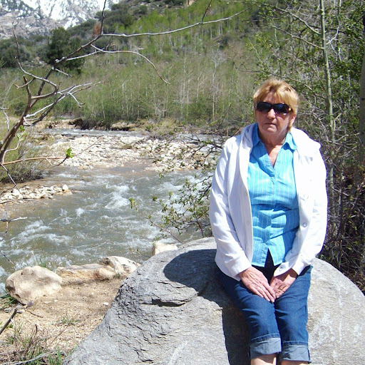 Nancy Stout Photo 17