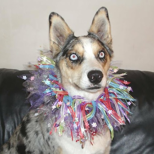 Vickie Bishop Photo 34