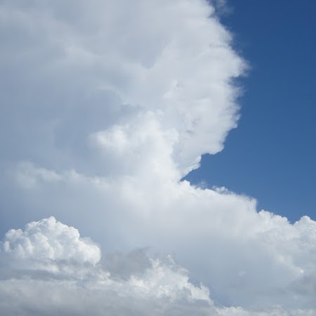 Terry Neumann Photo 26