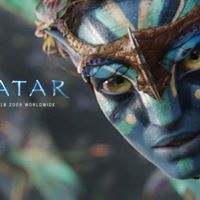 Elaine Tuttle Photo 19