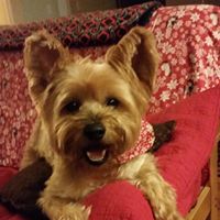 Elizabeth Brower Photo 10