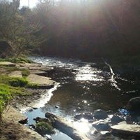 Tracy Welsh Photo 15