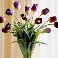 Rachel Meadow Photo 1