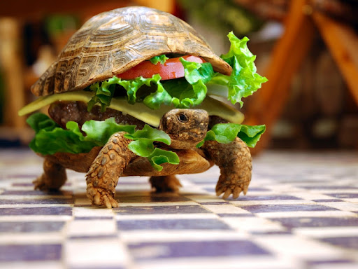 Chris Samson Photo 27