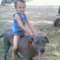 Corey Hardy Photo 20