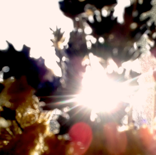 Joseph Turner Photo 20 Joseph Turner Photo 20