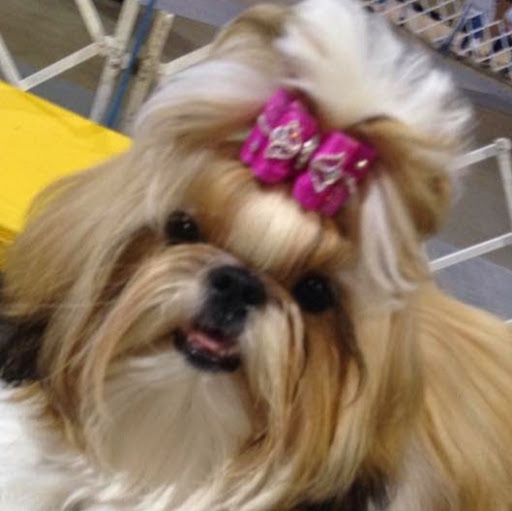 Pamela Unger Photo 2