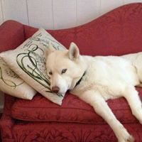 Debra Worthington Photo 5