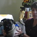 Nancy Ling Photo 23