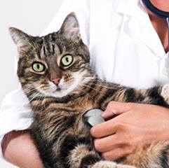 Angela Brewer Photo 33