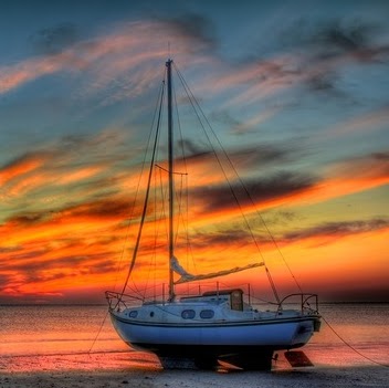 Tom Lockhart Photo 34