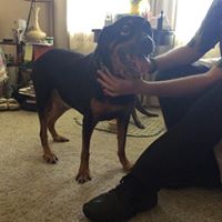 Paula Clements Photo 22