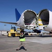 Ted Beck Photo 26 Ted Beck Photo 26