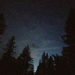 Sara Lindstrom Photo 7