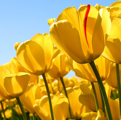 Kristina Johnson Photo 7