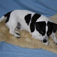 Lynette Bradley Photo 9