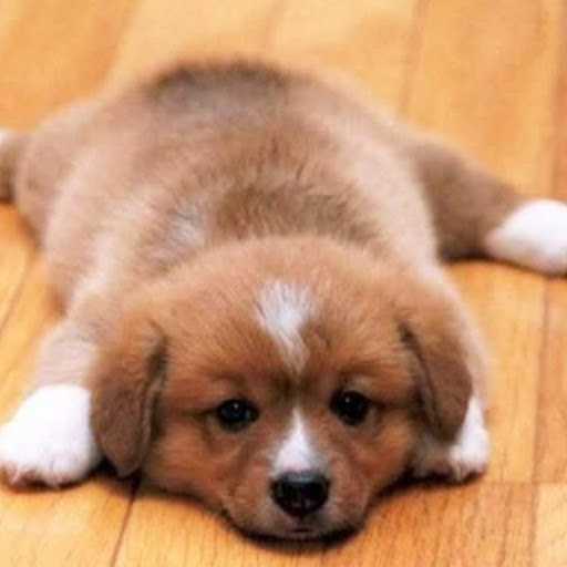 Elizabeth Horsley Photo 14