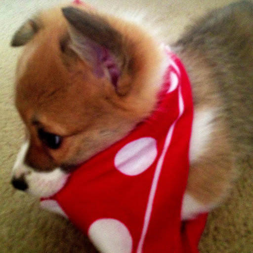 Lindsey Ray Photo 39