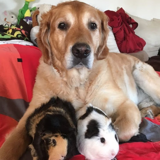 Annette Richter Photo 13