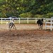 Crystal Briggs Photo 30