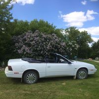 Constance Shaw Photo 18