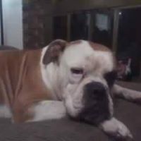 Susan Major Photo 20