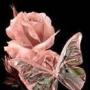 Juanita Rose Photo 20