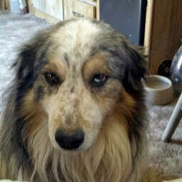 Donna Mercer Photo 6