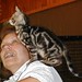 Patricia Hodges Photo 11