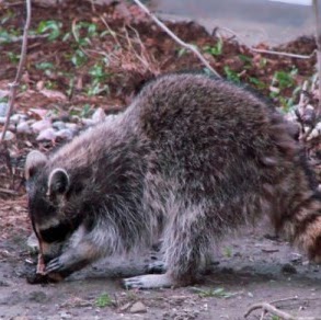 Kristy Phillips Photo 7