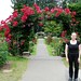 Diane Rose Photo 47