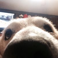 David Wisniewski Photo 21